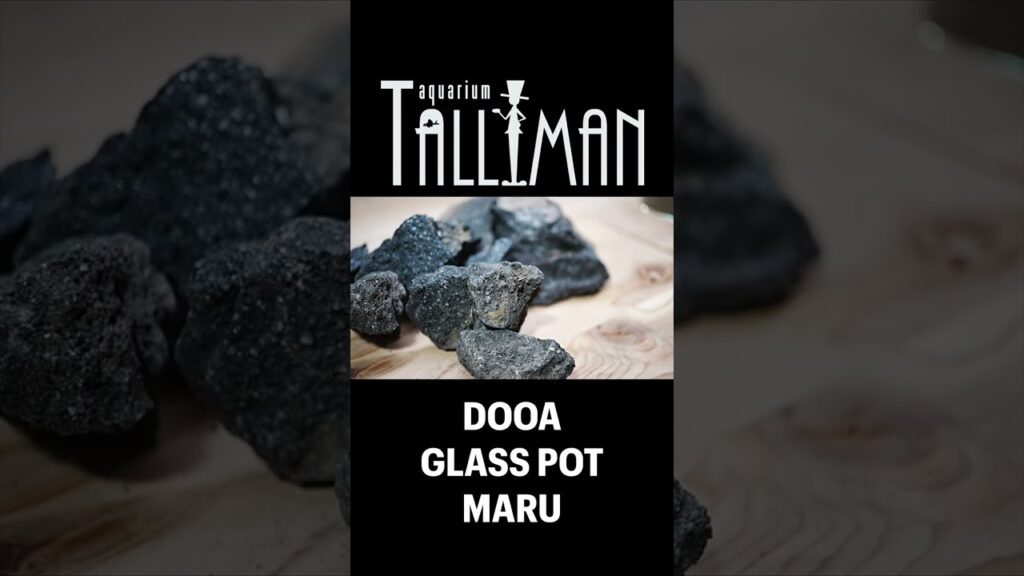 DOOA-GLASS-POT-MARUTV-shots-