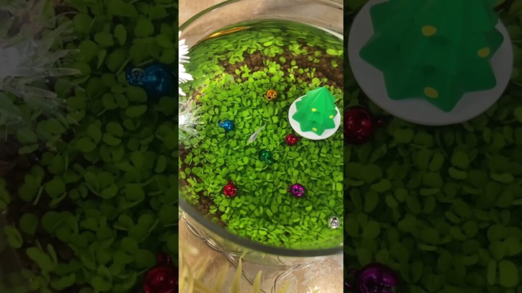 Merry-Xmas-merrychristmas-