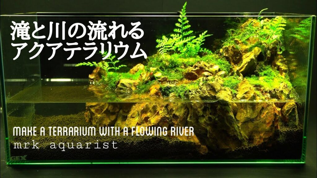 part97Make-a-terrarium-with-a-flowing-river-45