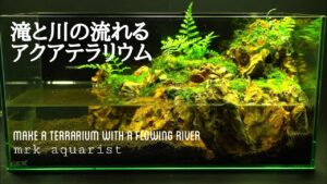 part97Make-a-terrarium-with-a-flowing-river-45