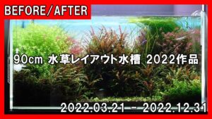 90cm-2022-9