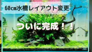 ADA60cm