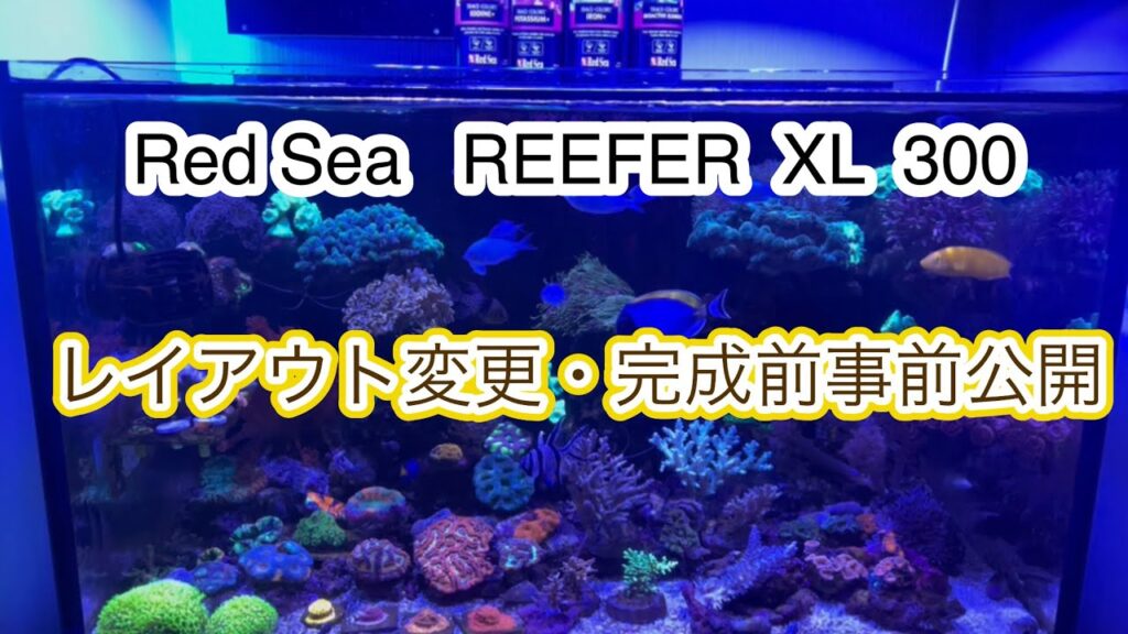 REEFER-XL-300-