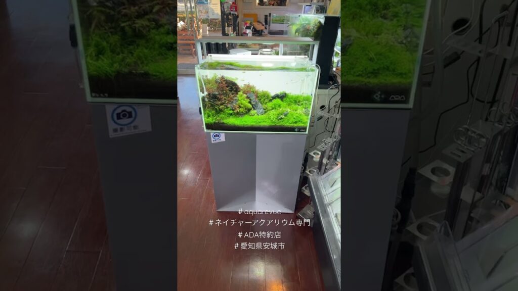 ada-aquarevue-aquarium-natureaquariumu-