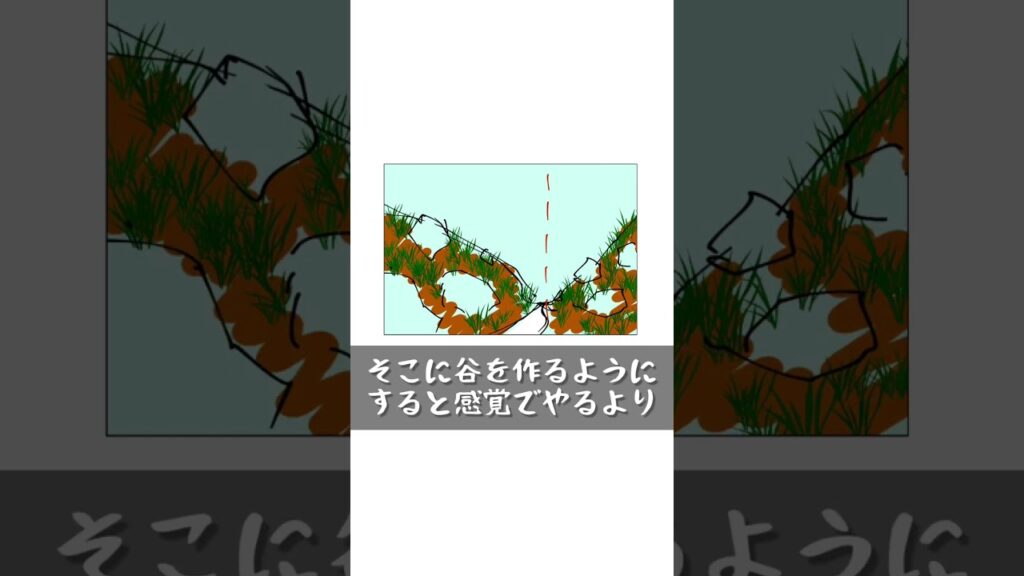 aquarium-moss-terrariim-