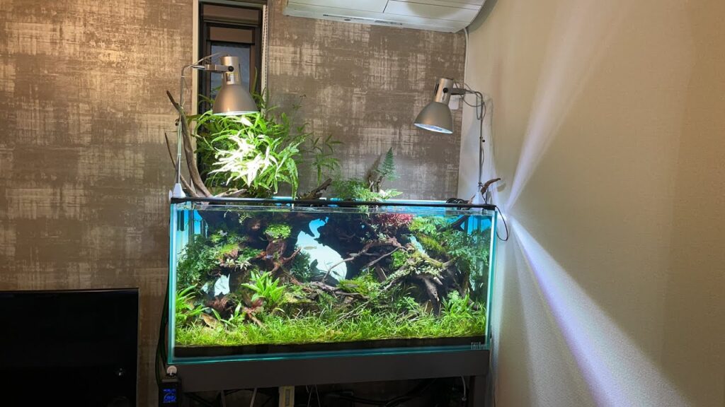 1200TV