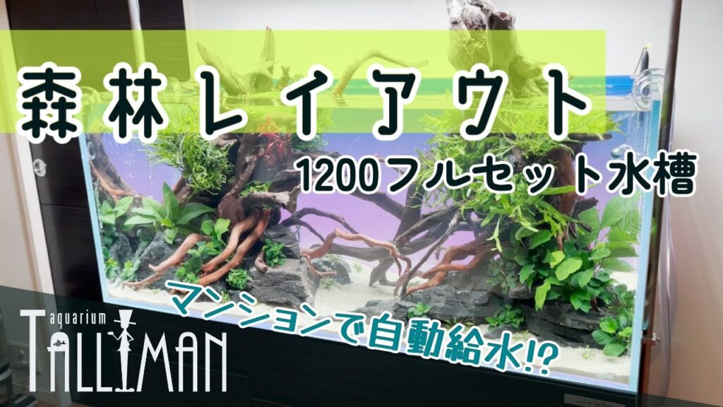120cm