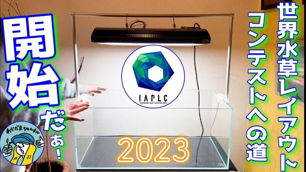 2023