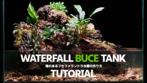 45How-To-Make-Waterfall-in-Aquaterrarium-Bucephalandra