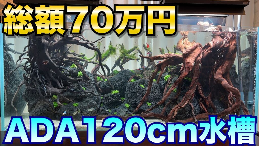 ADA120cm1
