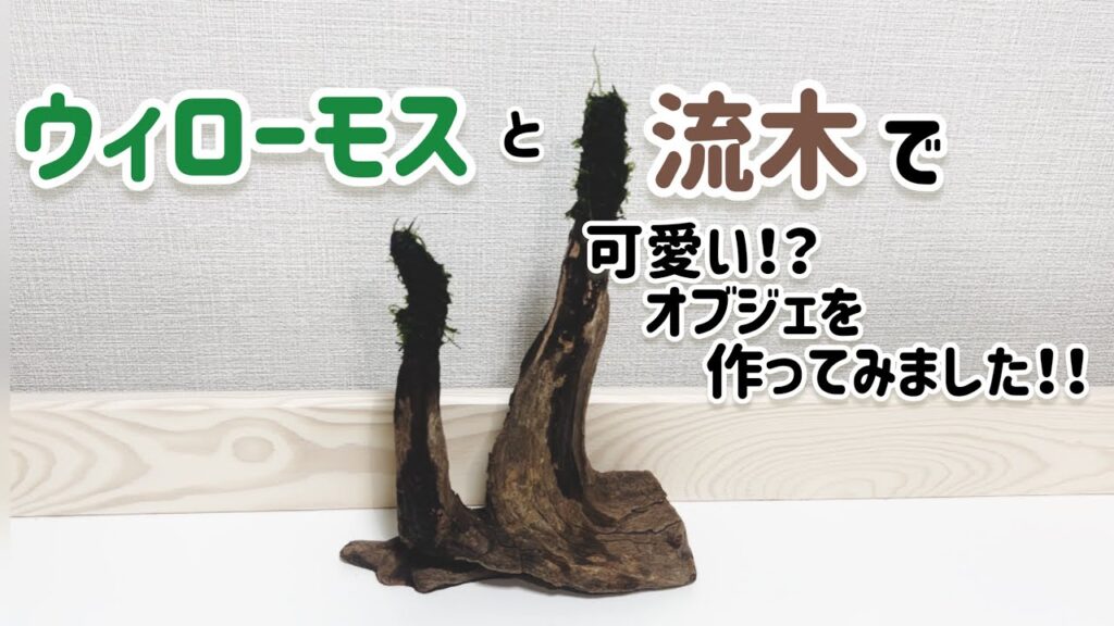 DIY