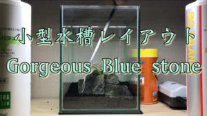 Small-aquarium-layout