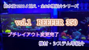 vol.1-REEFER350-2023