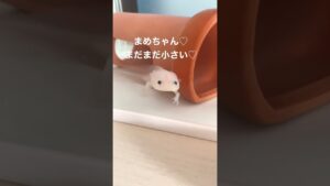 1aquarium