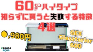 40cmGEX600-60x30x4060cm-