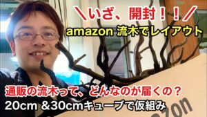 Amazon-ADA