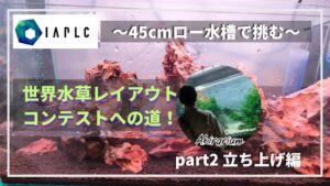 Hardscape45cmpart2-Aquarium-1