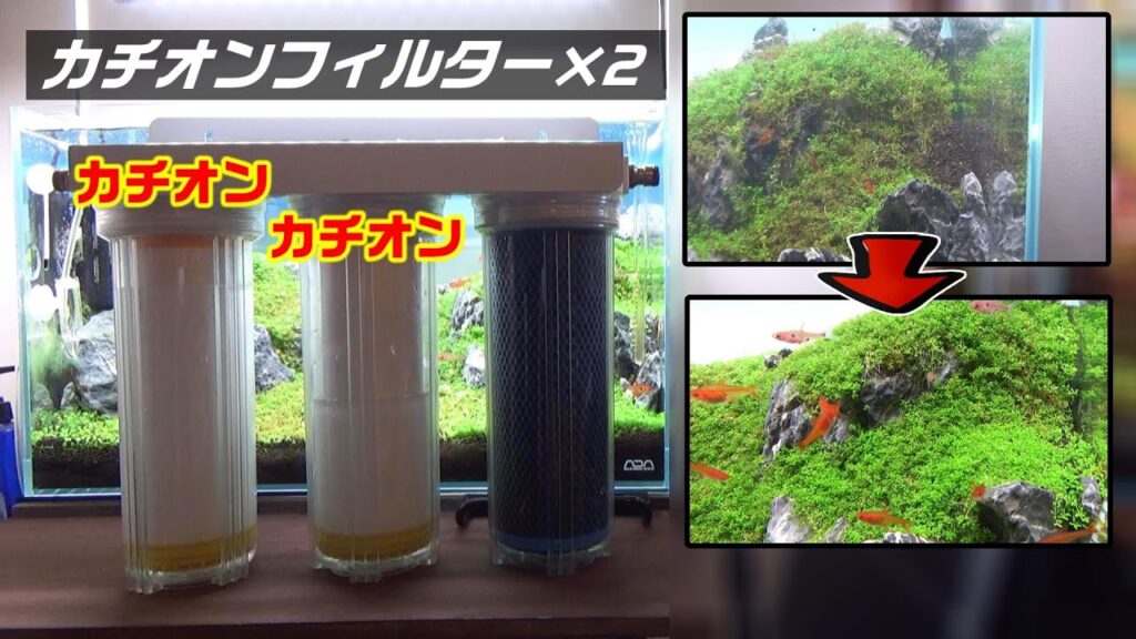 aquarium-