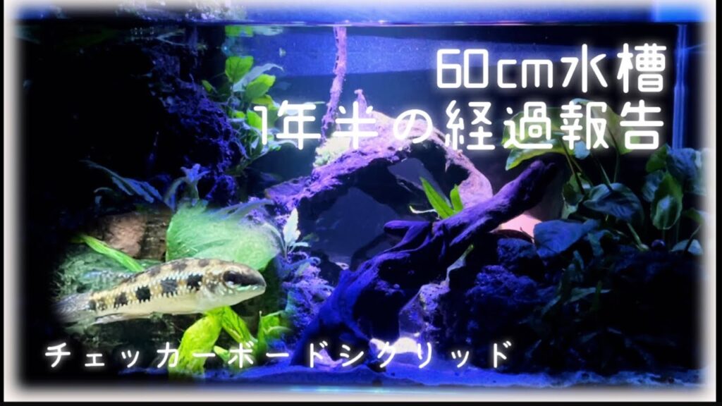 unnamed-file-25