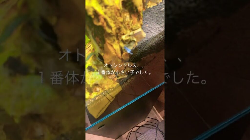 unnamed-file-3