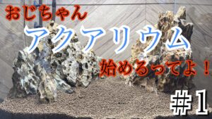 unnamed-file-6