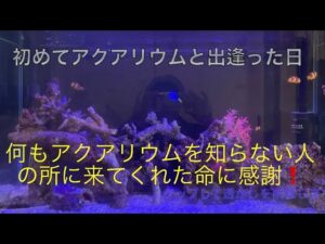 unnamed-file-7