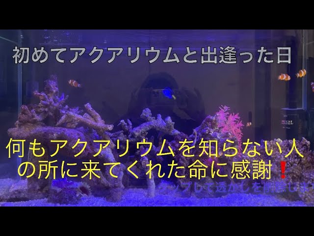 unnamed-file-7
