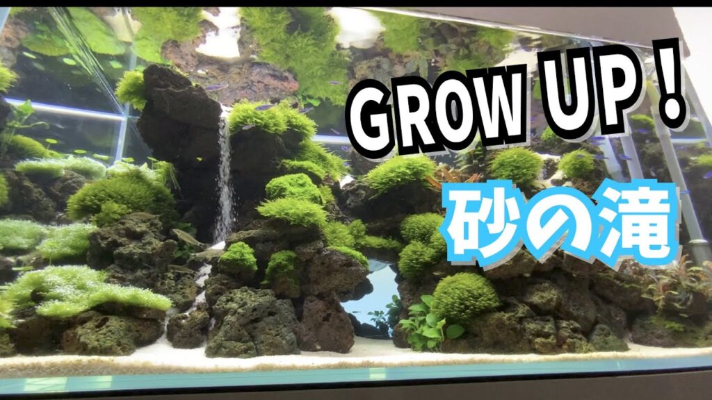 120U-waterfall-sand-aquarium.water-plants.