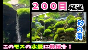 200