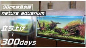90cm-300aquarium-ada