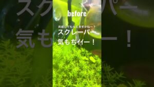 aquarium-1-2