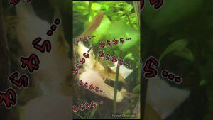 unnamed-file-18