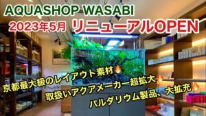 20235-AQUASHOP-WASABIADAGEXOASEChihiros