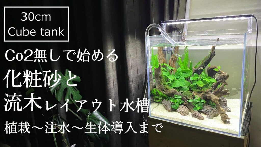 30cm-aquarium-