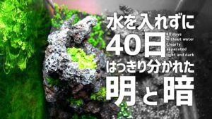 4030404