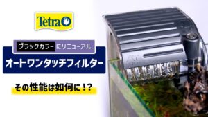 NO-1-AT-20-