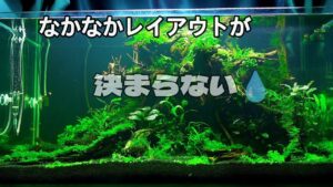 aquarium-1-2
