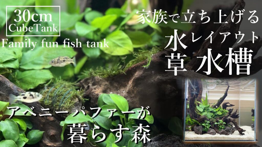 aquarium-1-3