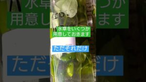 unnamed-file-3