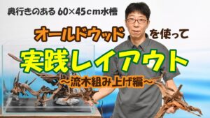 6045cm6045cm