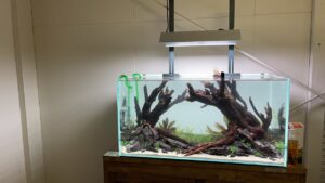 900TV