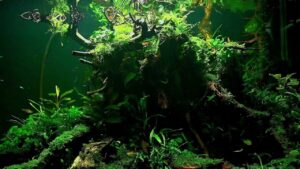 90cmaquarium-