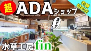 ADADJfin