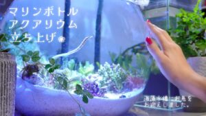 Aquarium.
