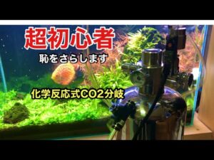 CO2-1