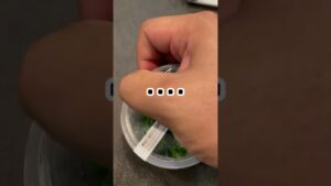 Part1-aquarium-1-1