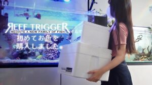 REEFTRIGGER-Aquarium.