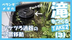 TAKE-