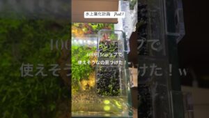 aquarium-