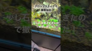 aquarium-1-9